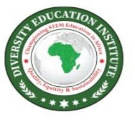 DIVERSITY EDUCATION INSTITUTE - AFRICA